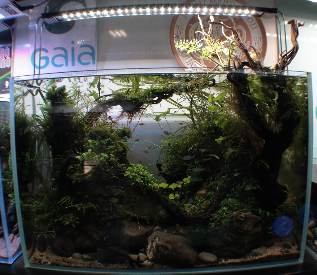 AcquariShop