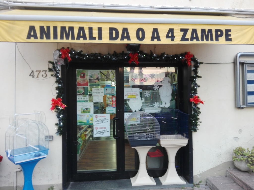 Animales de 0 a 4 patas