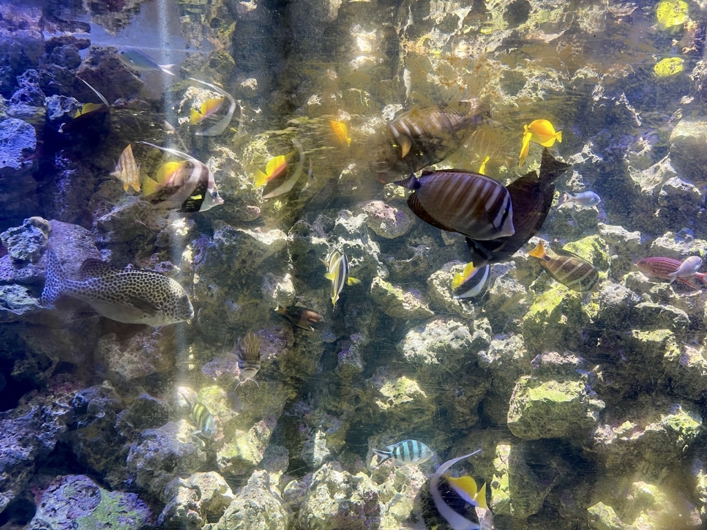 BlueWorld Aquarium