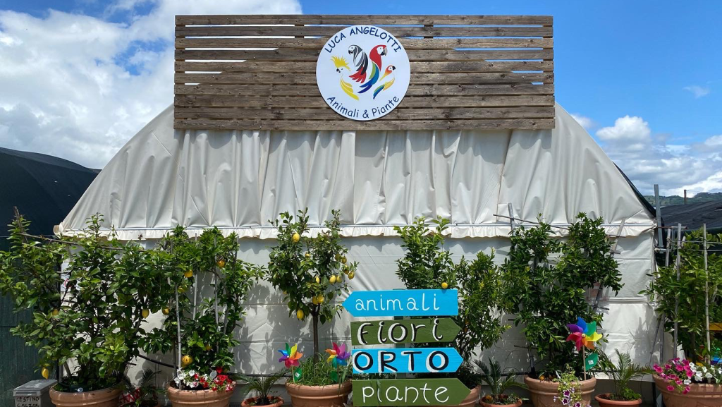 Luca Angelotti Breeding