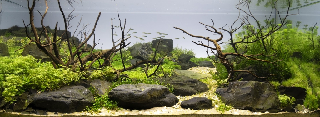 Crystal Reef - custom aquariums