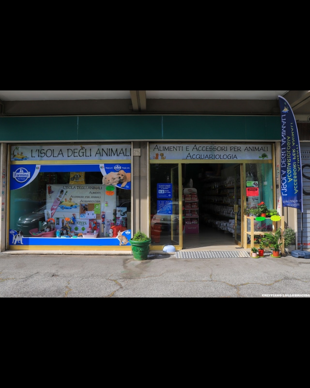 The Island of Animals