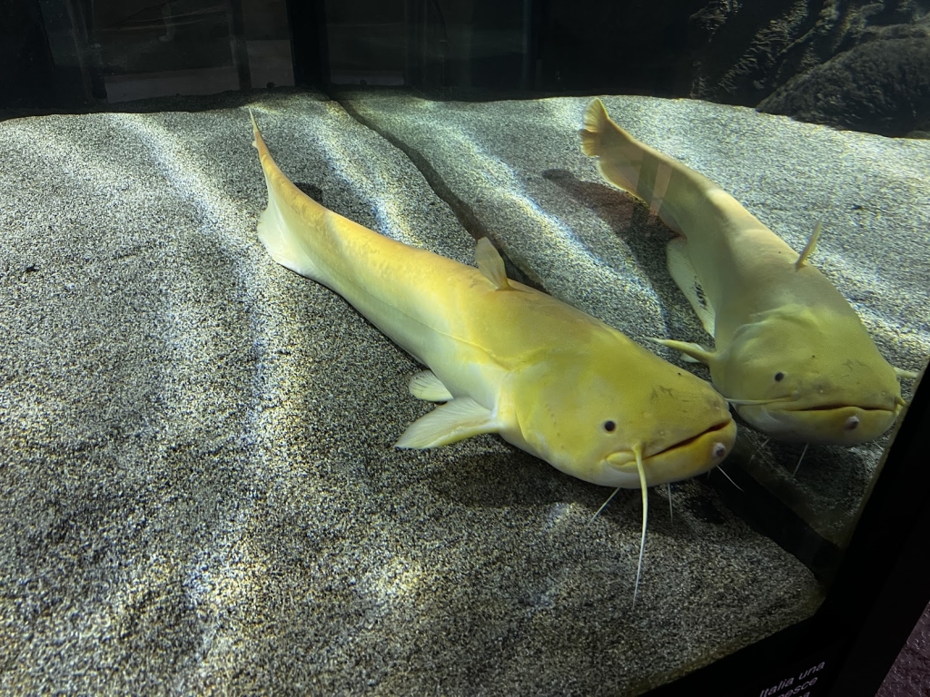 Biosphere Aquarium of Parma