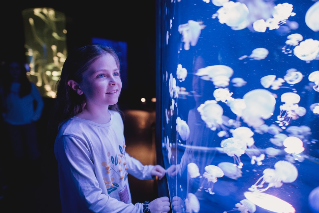 Acuario de Quebec