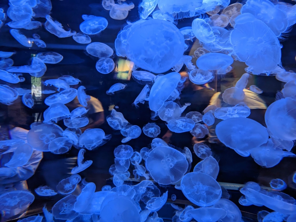 Acuario de Vancouver