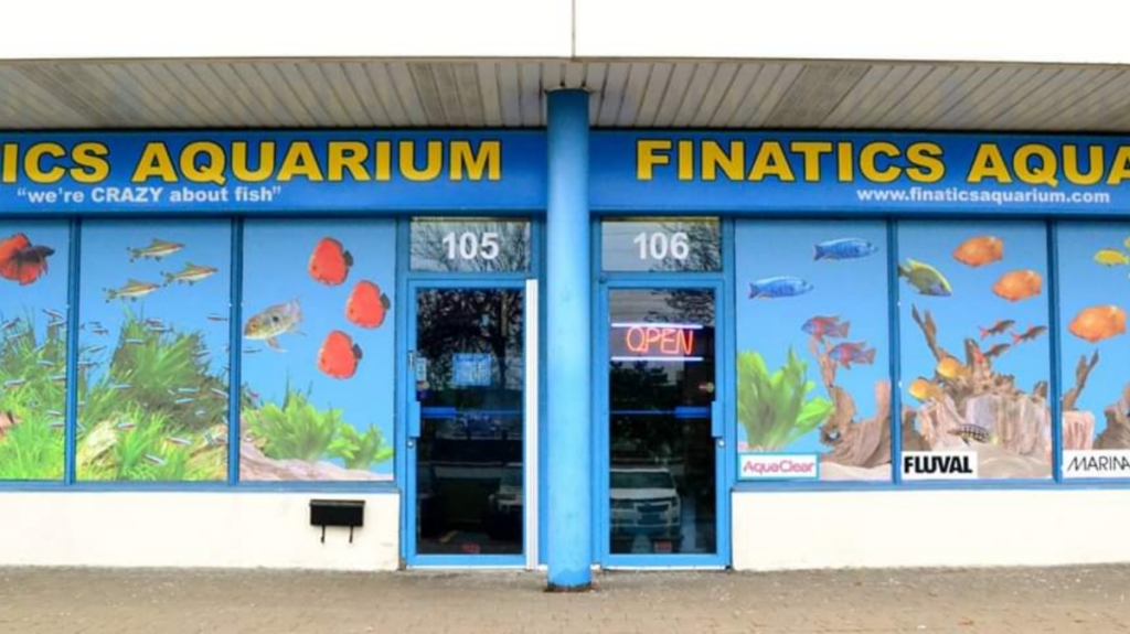 Acuario Finatics