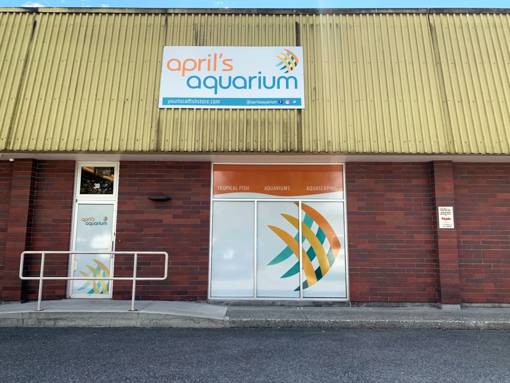 Acuario de Abril