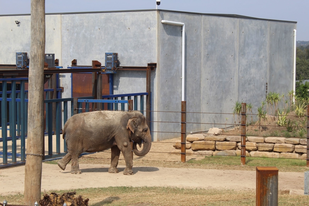 Zoológico de Sídney