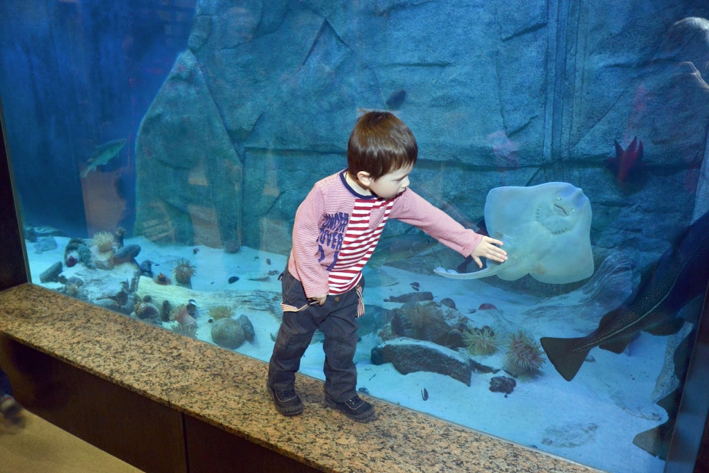 Museo del Fjord
