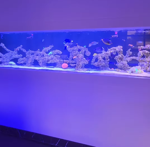 Aquarium Depot