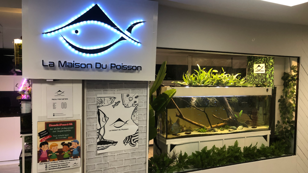 La Casa de los Peces