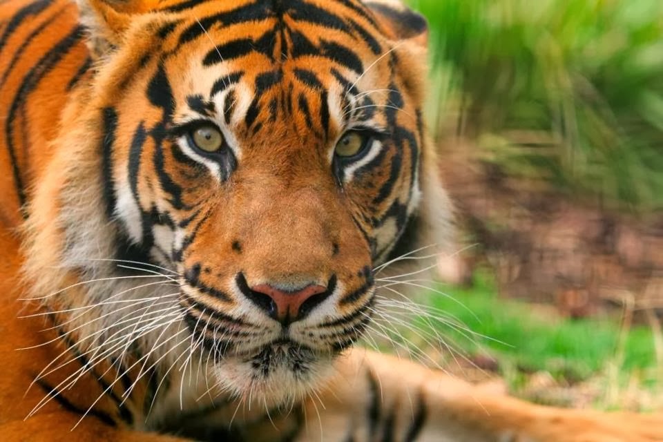 Zoo y Acuario Nacional