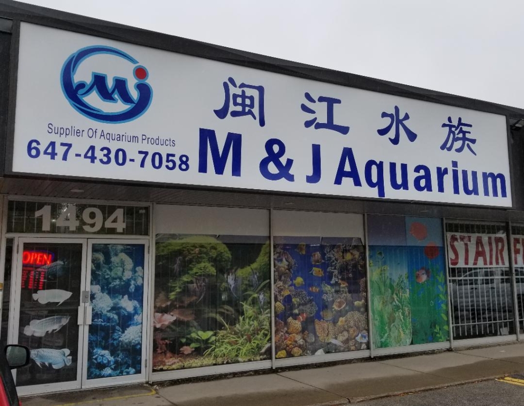M&J Acuario
