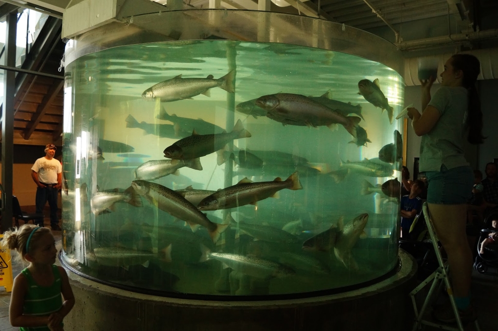 Centro de Ciencias Marinas Huntsman | Acuario de Descubrimiento Fundy