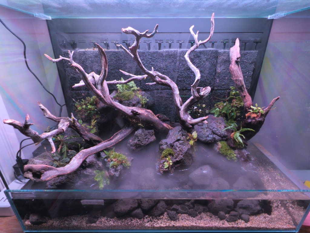 Rad Aquatic Design Inc