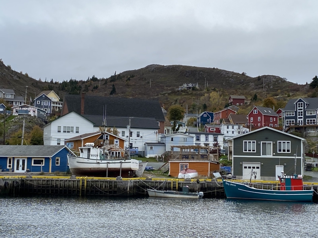 Acuario Mini Petty Harbour