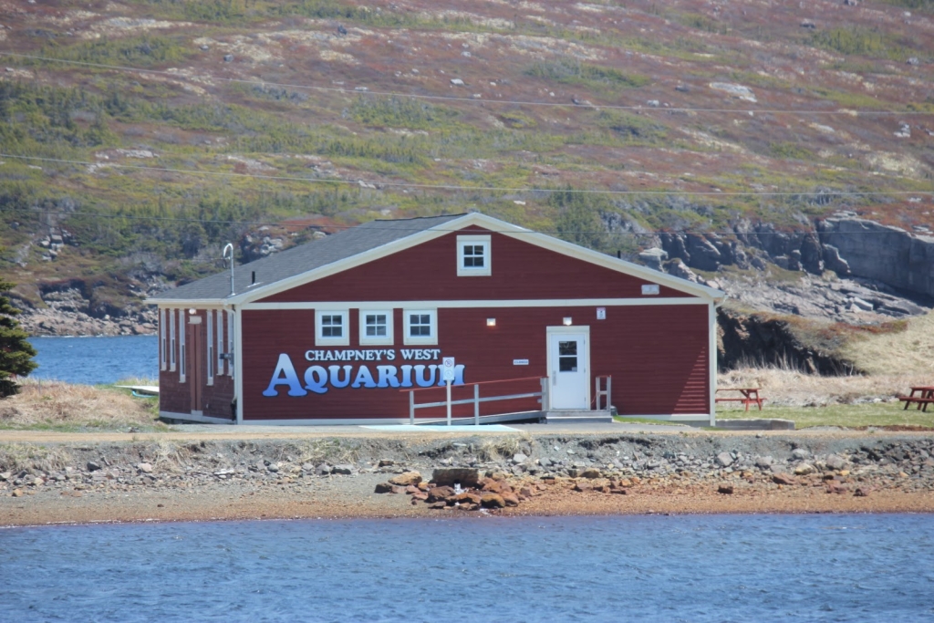 Acuario Champney's West