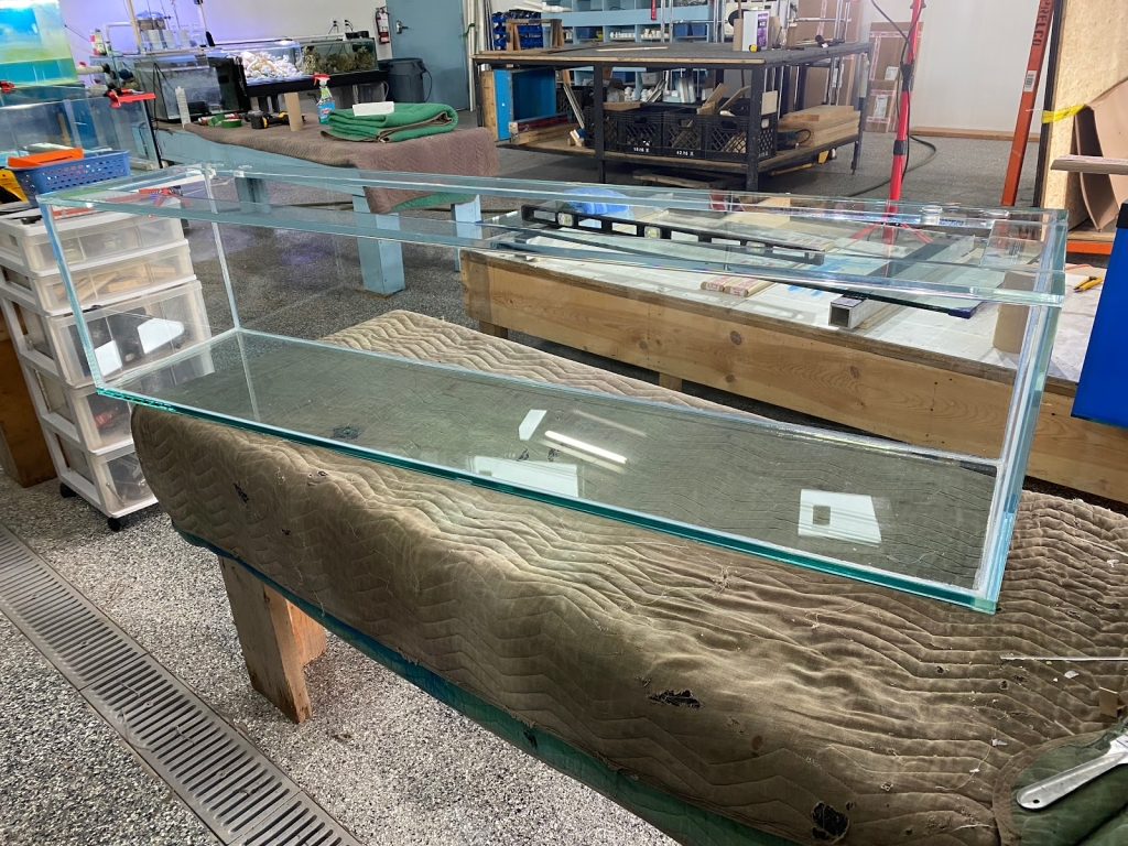 Aquanov Canada Inc (The Group)