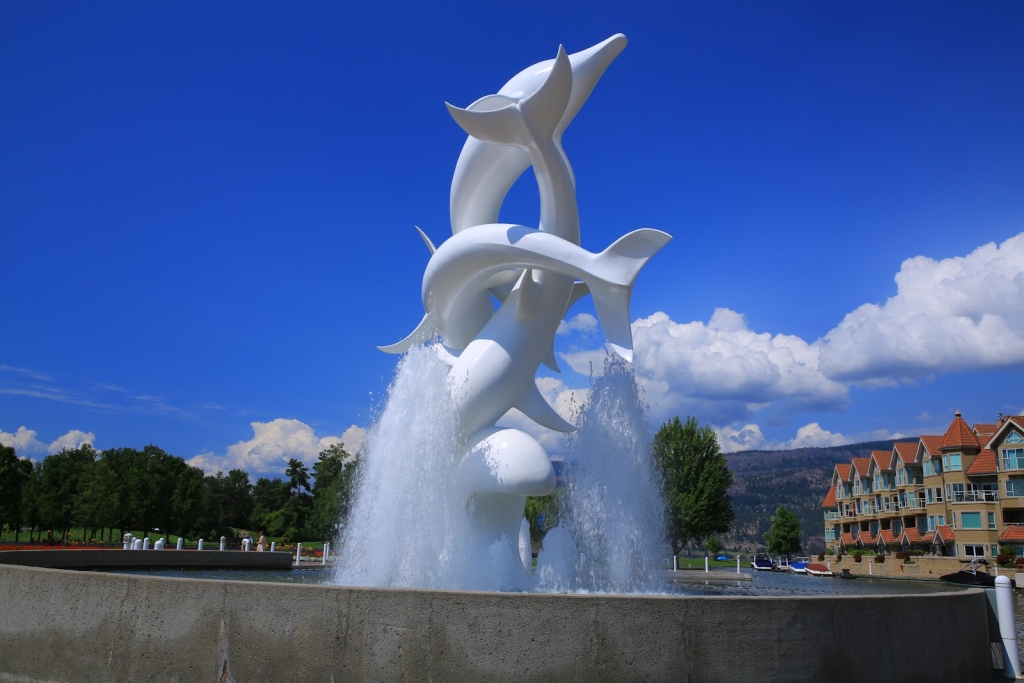 Dolphins Kelowna