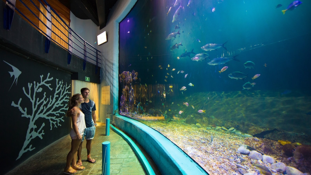 Acuario Interactivo Cancún
