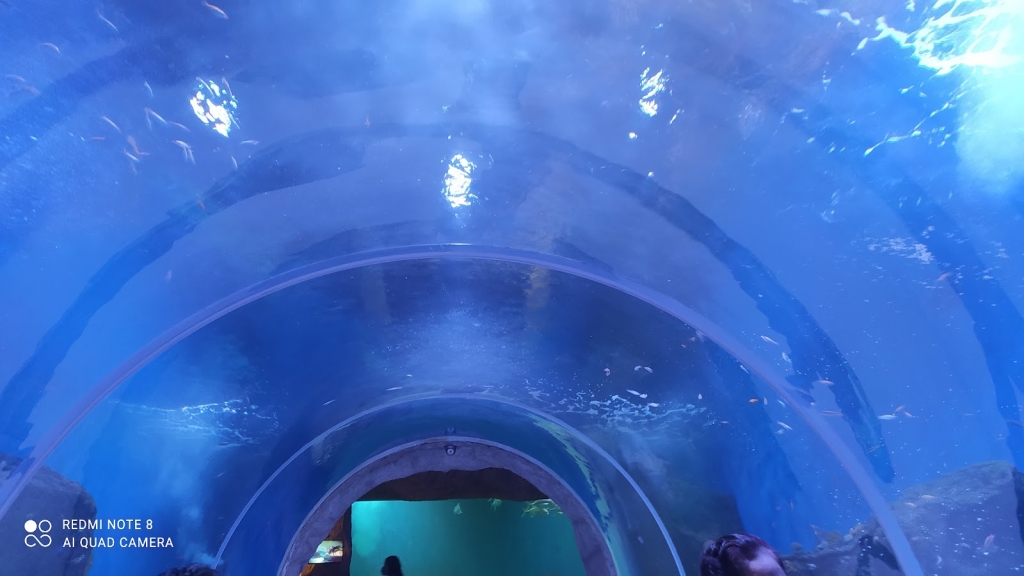 Guadalajara Zoo Aquarium