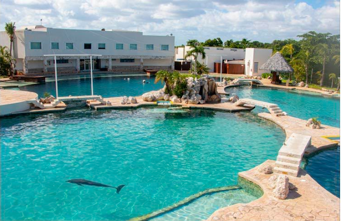 Conexión con Delfines Mx Cancún