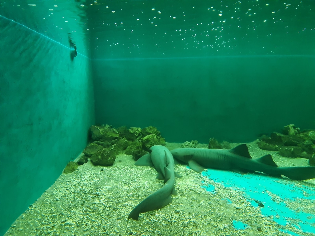 Parque Zoológico Benito Juárez