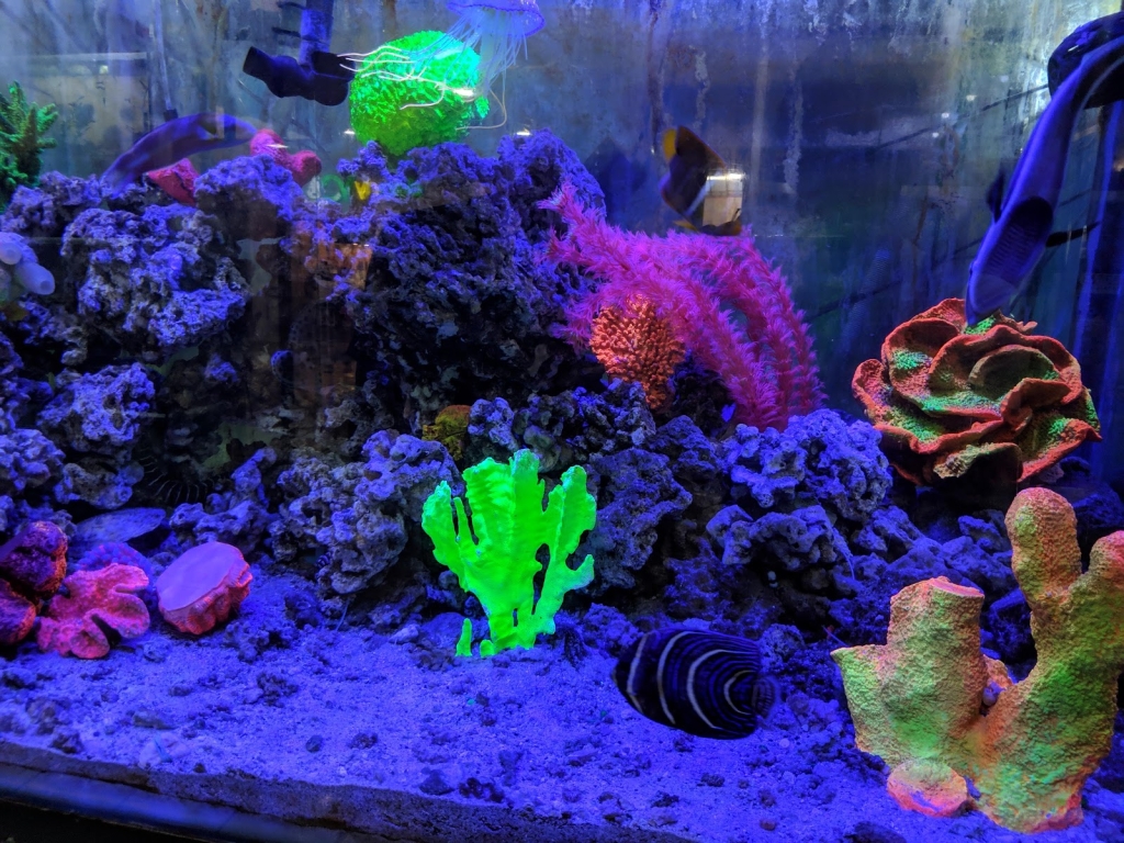 El Acuario Arboledas