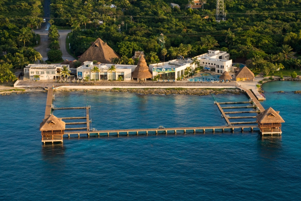 Dolphin Discovery Cozumel