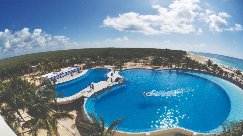 Dolphin Discovery Playa del Carmen