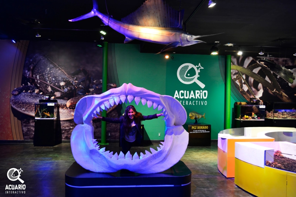 Interactive Aquarium