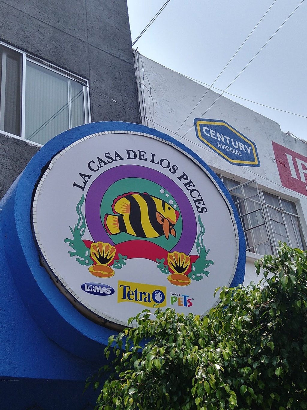 La Casa de los Peces