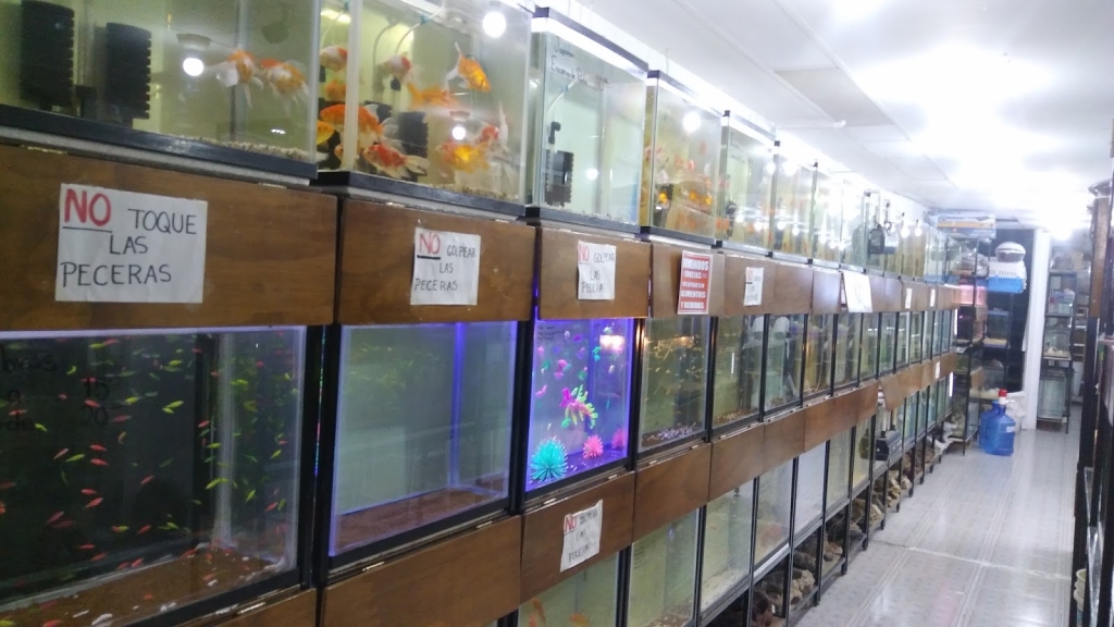 Acuario y Tienda de Mascotas MascoPlaza