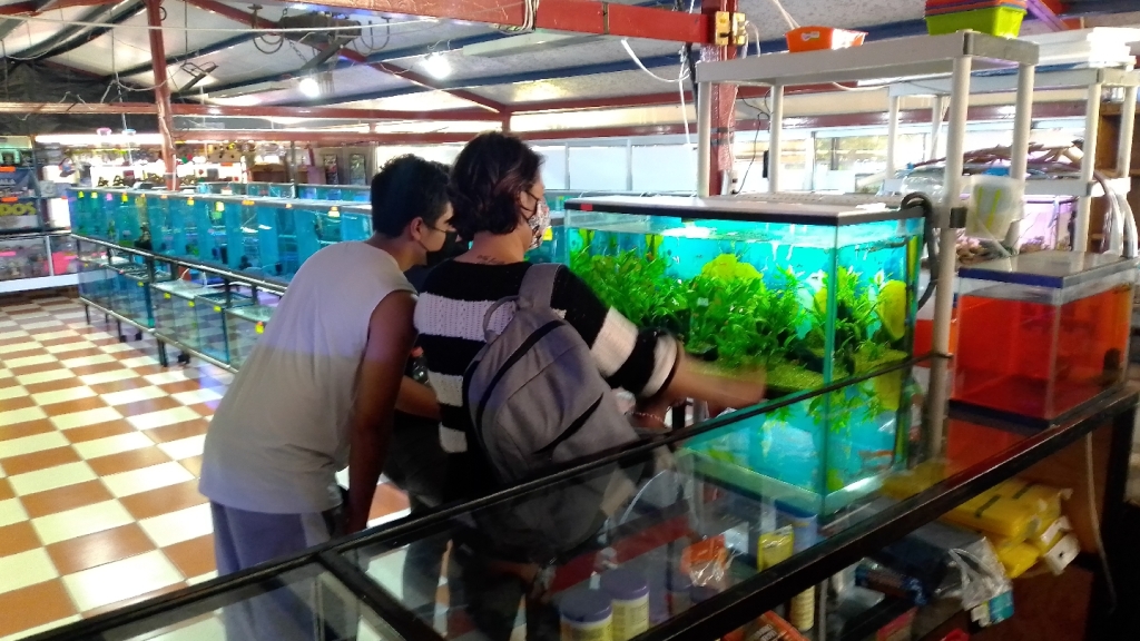 Tlaxcala Aquarium, Acuatlax