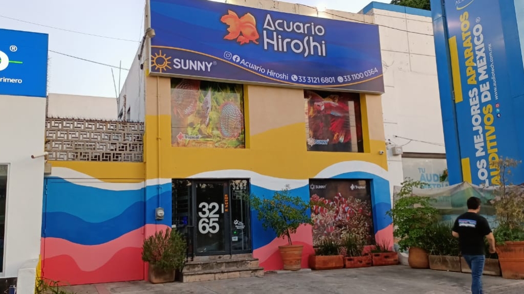 Acuario Hiroshi Galería
