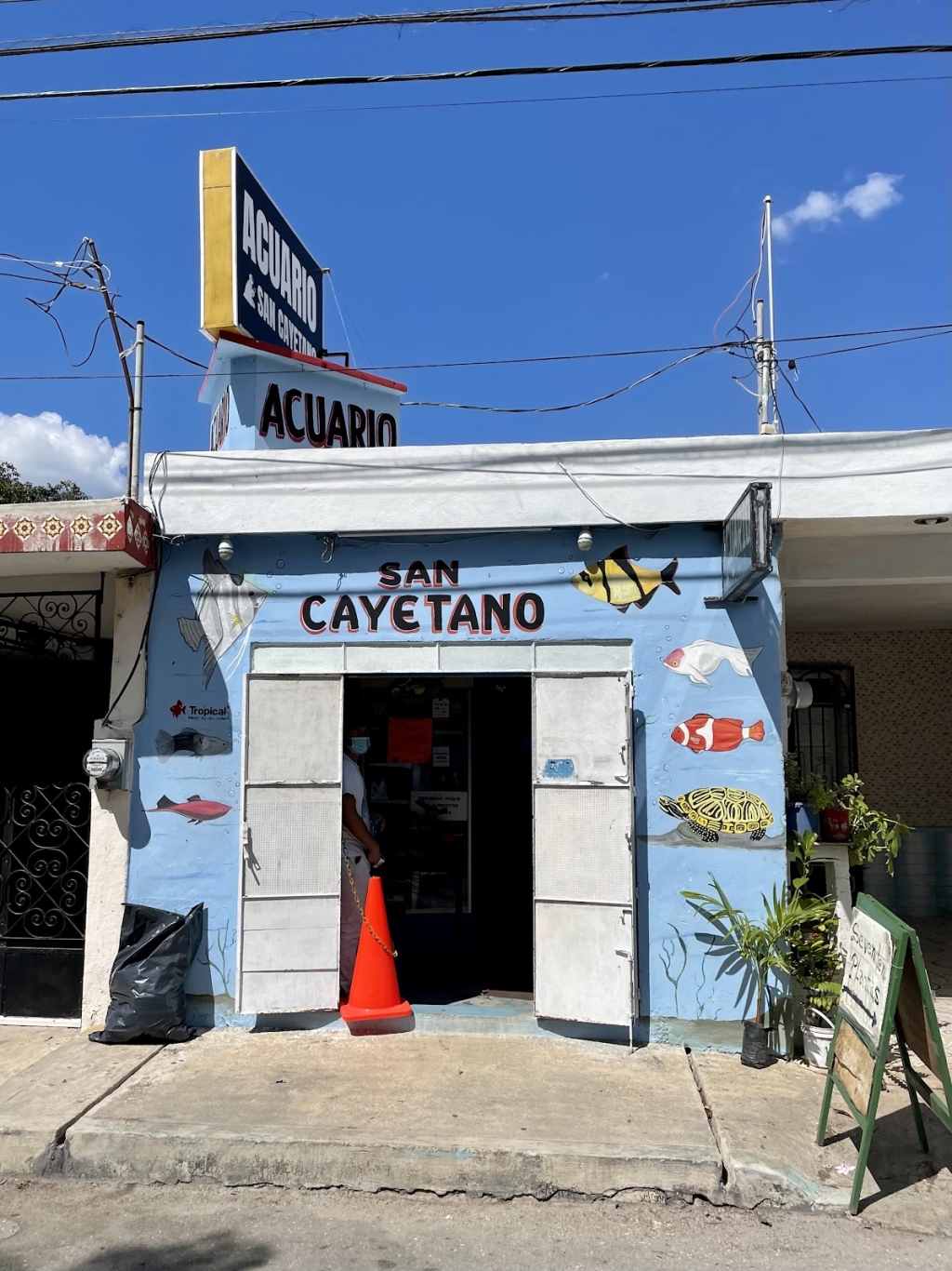AQUARIO SAN CAYETANO