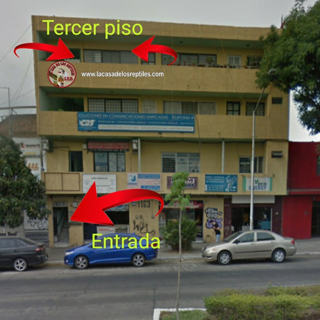 La Casa de los Reptiles
