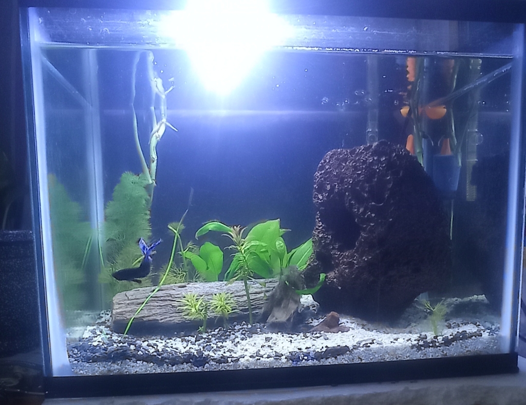 Acuario Hábitat