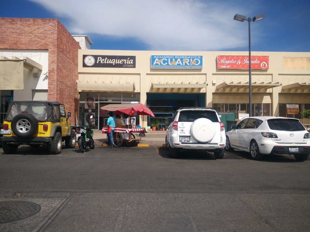 Acuario Borrayos