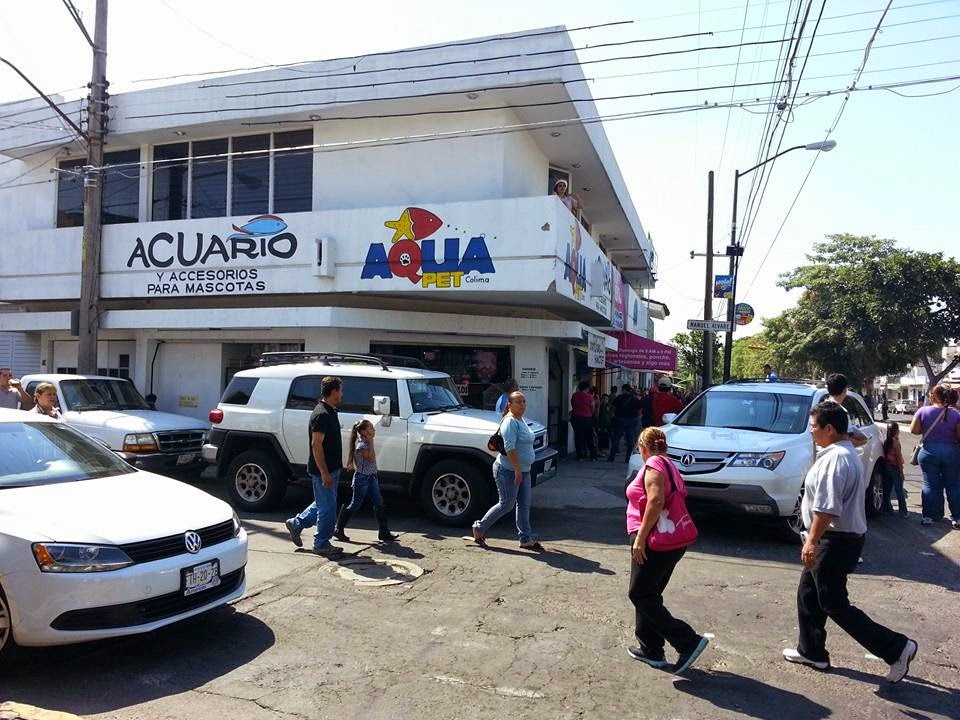 Acuario Aqua Pet Colima MATRIZ
