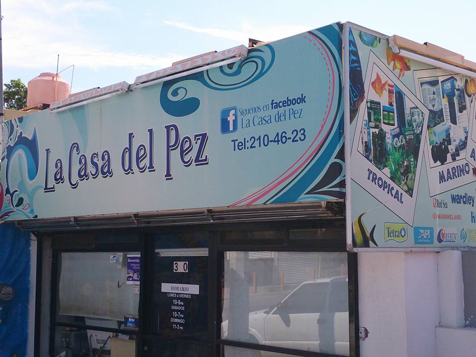 La Casa del Pez