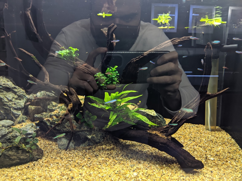 Aqua Aquarium