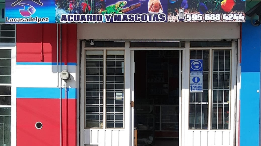 Acuario Casa del Pez