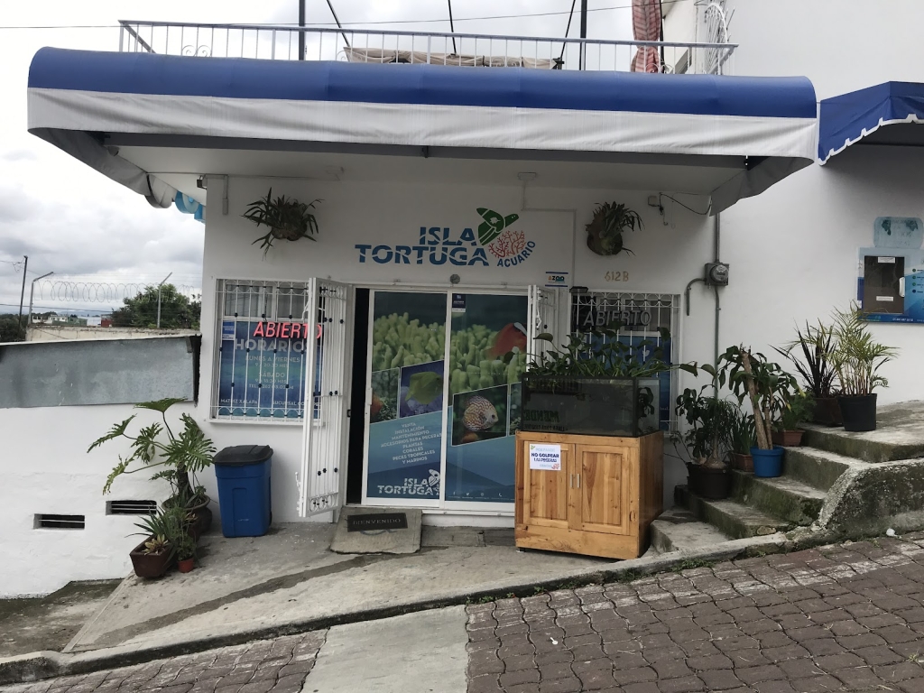 Acuario Isla Tortuga