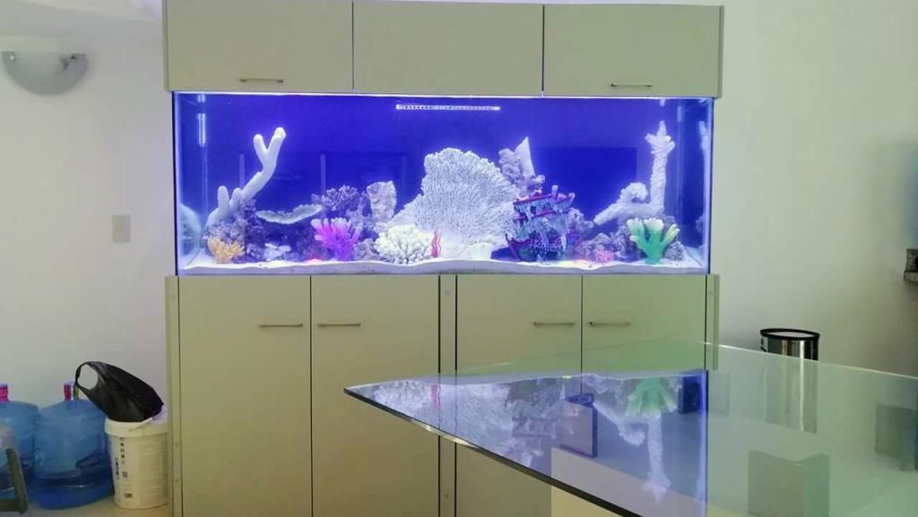 Islands Aquarium