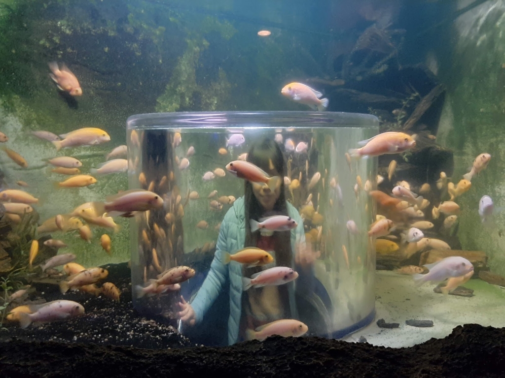 Acuario de Tijuana