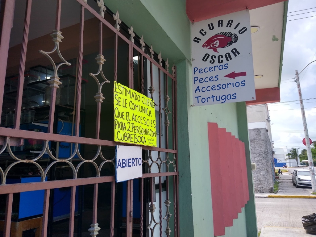 Acuario Oscar