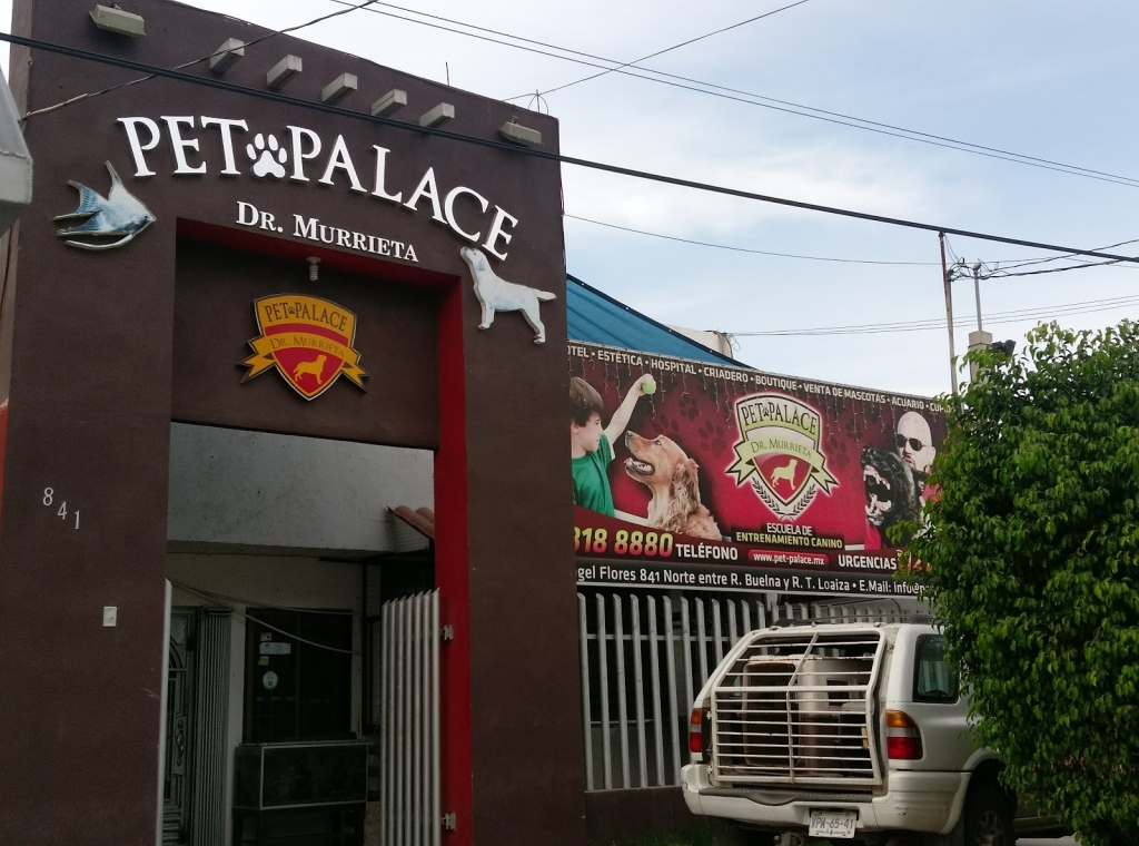 Palacio de Mascotas Dr. Murrieta