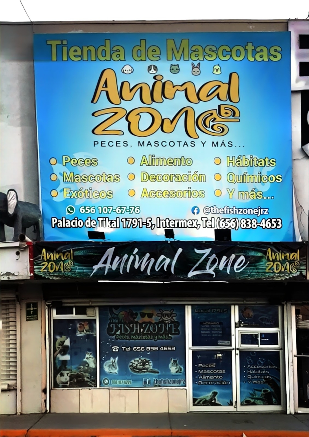Zona Animal