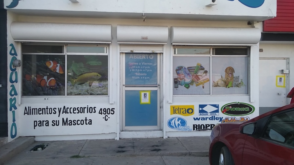 Acuario Tiburoncín